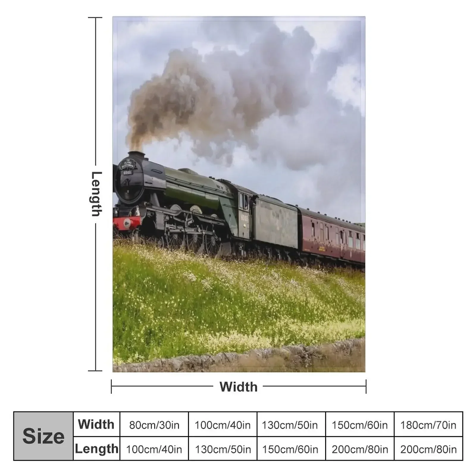 Il Flying Scotsman in Yorkshir - 3D Printing Yorkshire recensione e prezzo